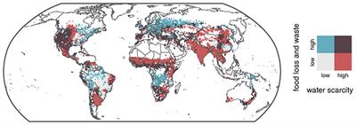 Reducing Water Scarcity by Reducing Food Loss and Waste